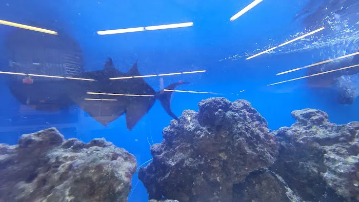 Petco Picture 9