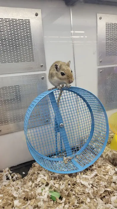 Petco Picture 8
