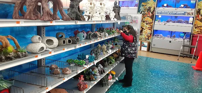 Petco Picture 10