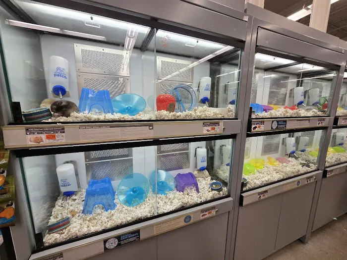 Petco Picture 1