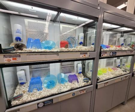 Petco