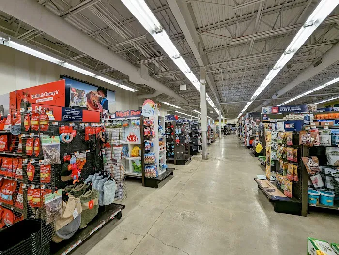 Petco Picture 2