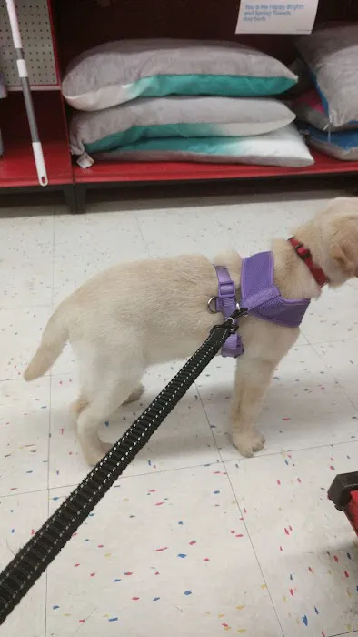 Petco Picture 8