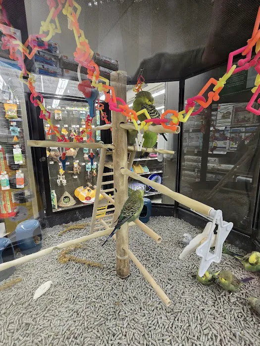 Petco Picture 10