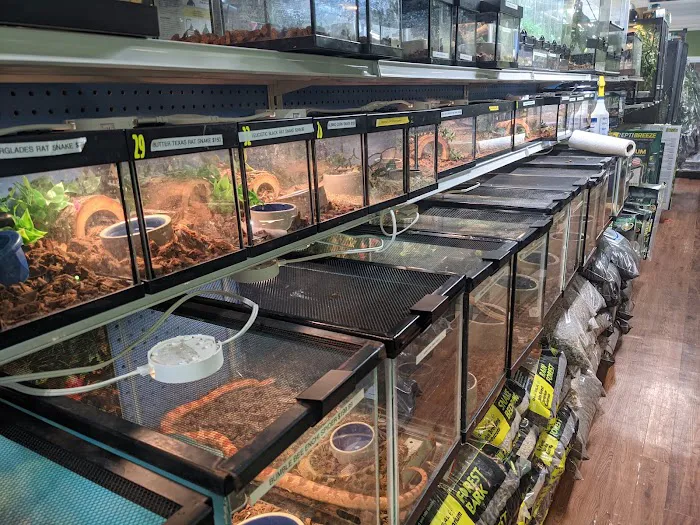 Reptile Roadhouse Picture 2