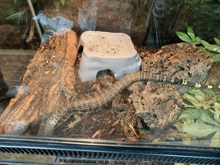 Reptile Roadhouse Picture 5