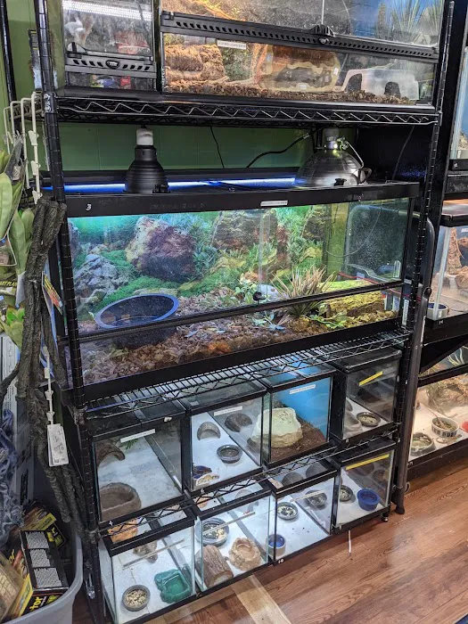 Reptile Roadhouse Picture 6