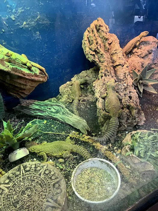 Reptile Roadhouse Picture 10