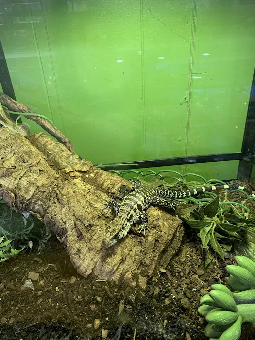 Reptile Roadhouse Picture 9