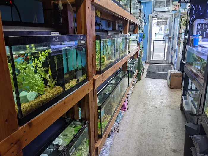 Aquariums By JJ Picture 1