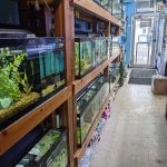 Aquariums By JJ