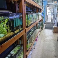 Aquariums By JJ ico