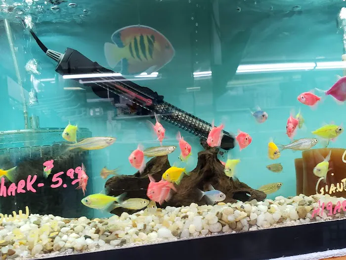 Aquariums By JJ Picture 10