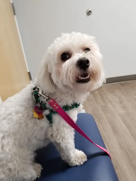 Columbus Central Veterinary Hospital Picture 1