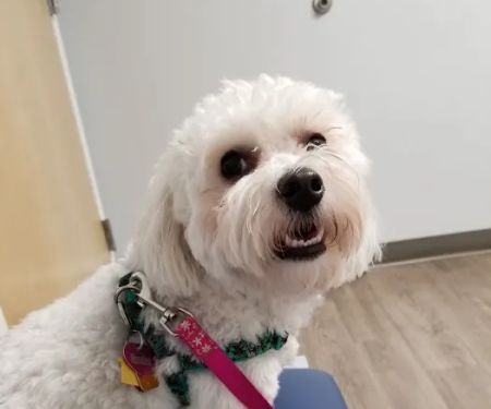 Columbus Central Veterinary Hospital