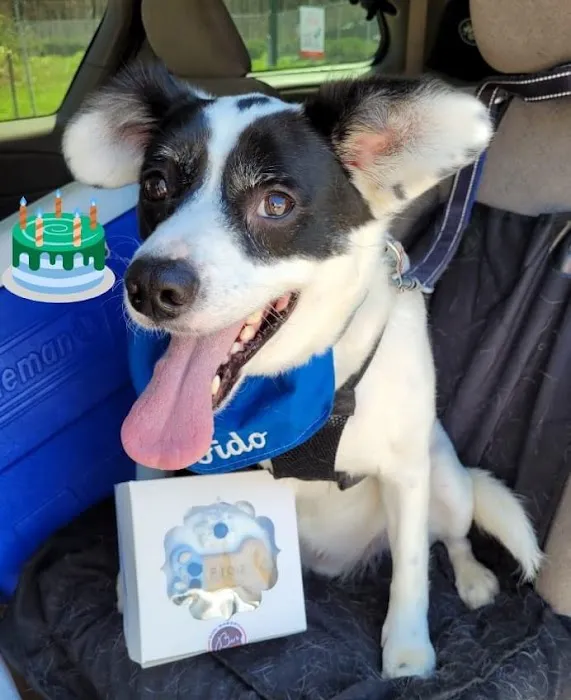 Bark N’ Bites Dog Bakery Picture 7