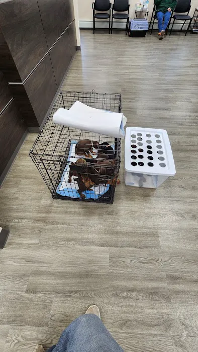 Mansfield Veterinary Hospital Picture 2