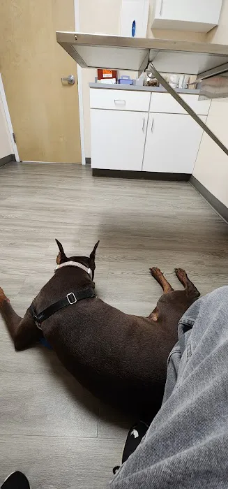 Mansfield Veterinary Hospital Picture 5