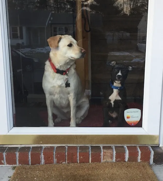Mansfield Veterinary Hospital Picture 4