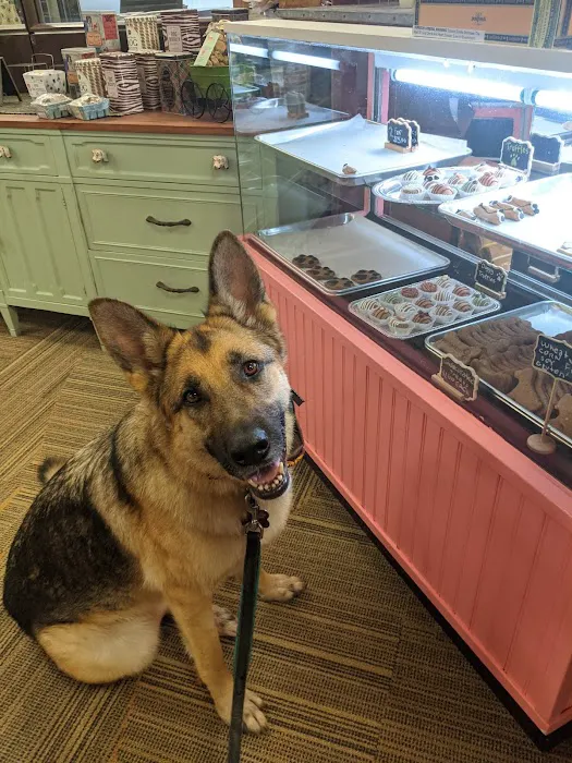 WaggMore Pet Boutique & Bakery Picture 2
