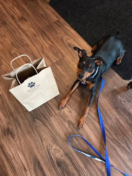 WaggMore Pet Boutique & Bakery Picture 5