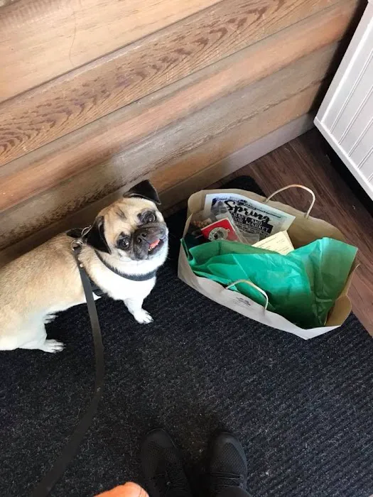WaggMore Pet Boutique & Bakery Picture 10