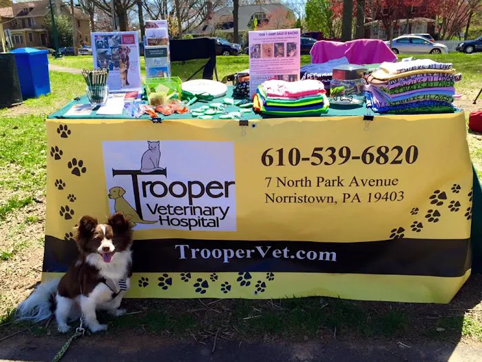 Trooper Veterinary Hospital Picture 9