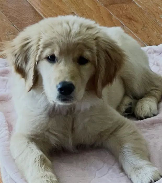 Trooper Veterinary Hospital Picture 6