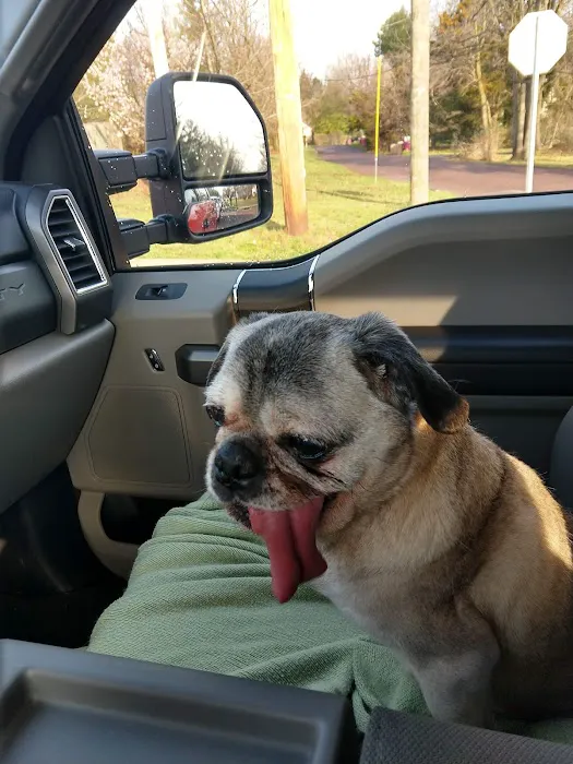 Trooper Veterinary Hospital Picture 10