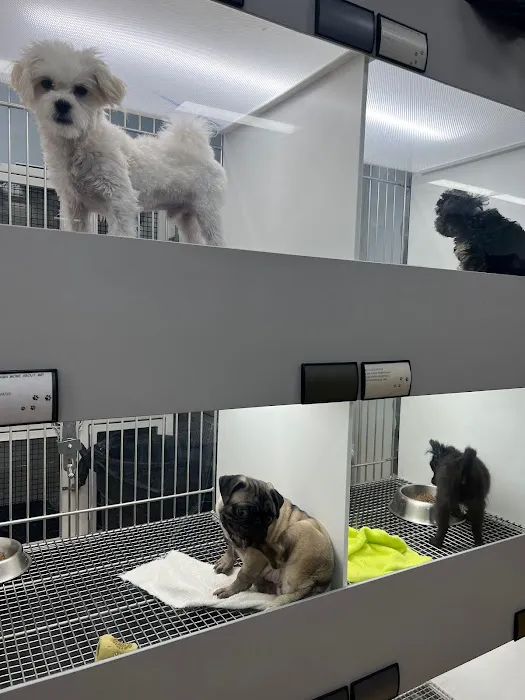 CT Breeder Picture 8