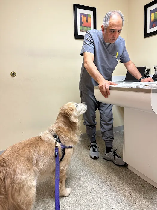 Valley Forge Animal Medical Center Picture 9