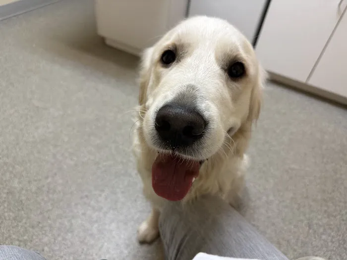 Valley Forge Animal Medical Center Picture 10