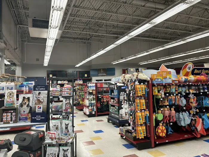 Petco Picture 2