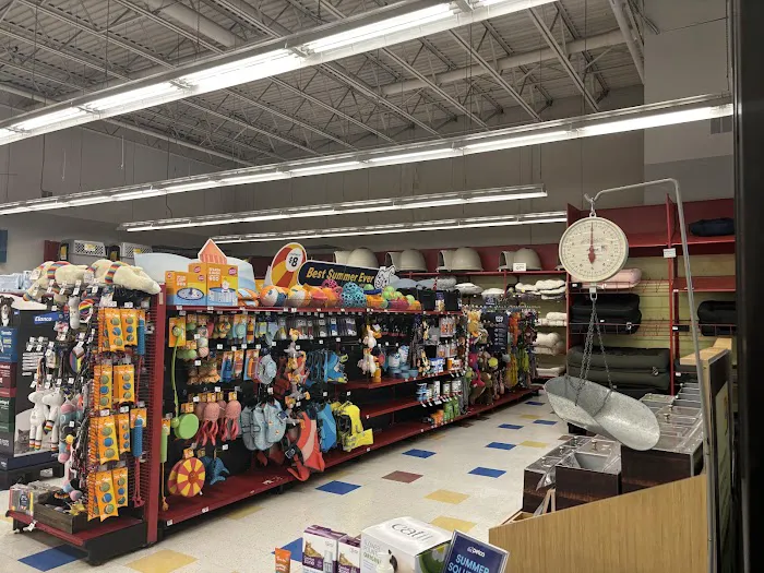Petco Picture 3