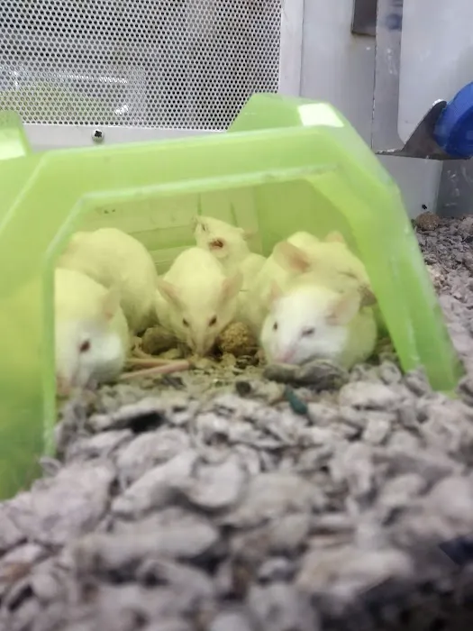 Petco Picture 4