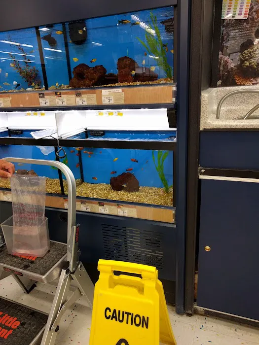 Petco Picture 6