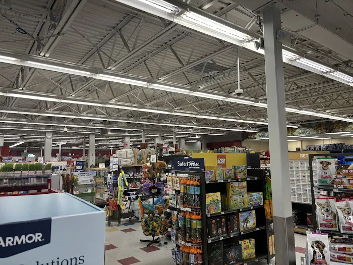 Petco Picture 5