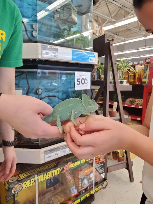 Petco Picture 10