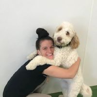 Valley Veterinary Hospital ico