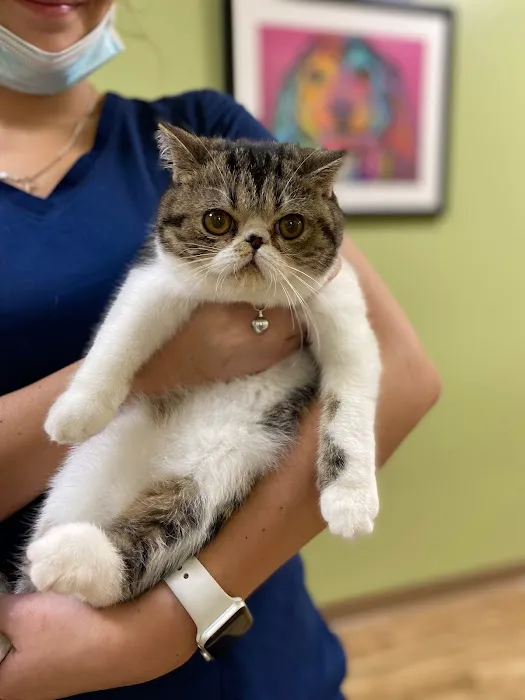 Valley Veterinary Hospital Picture 8