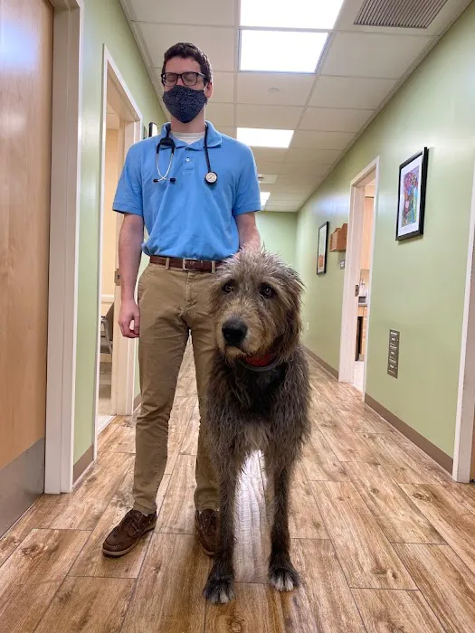 Valley Veterinary Hospital Picture 9