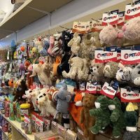 Petworks ico