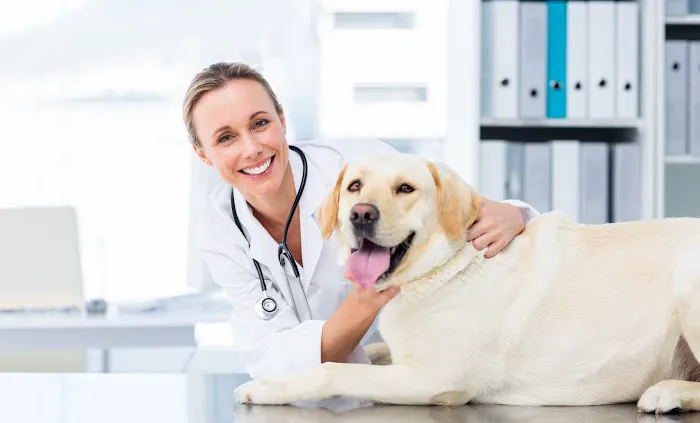 PetSmart Veterinary Services - Collegeville Picture 2