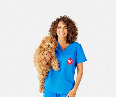 PetSmart Veterinary Services - Collegeville