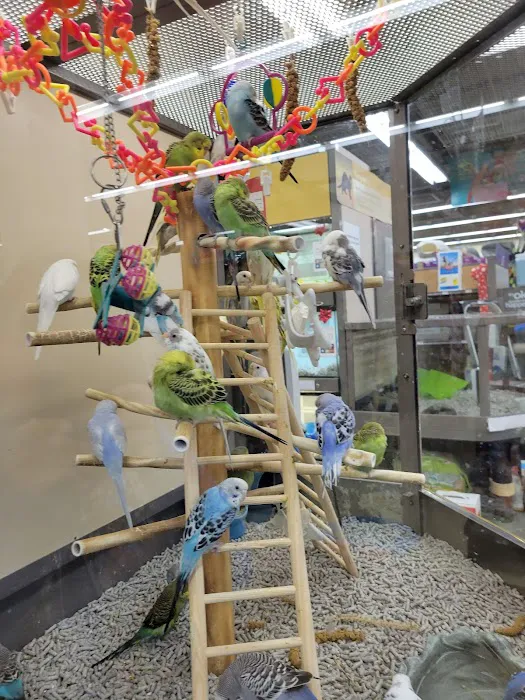 Petco Picture 7