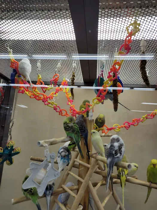 Petco Picture 4