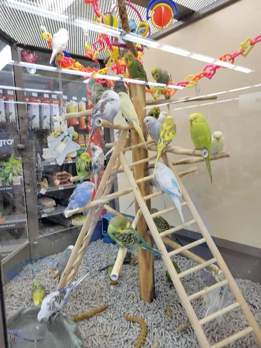 Petco Picture 5