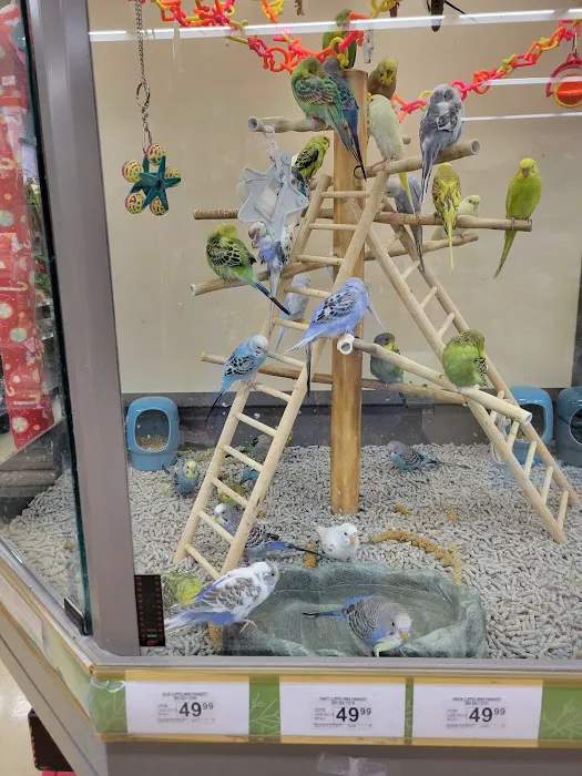 Petco Picture 10