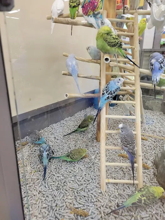 Petco Picture 9