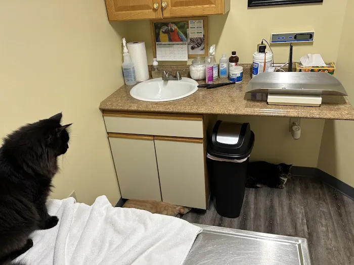 Collegeville Cat Clinic Picture 7